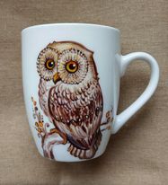 271439365_1097399160994557_2102136288375163897_n